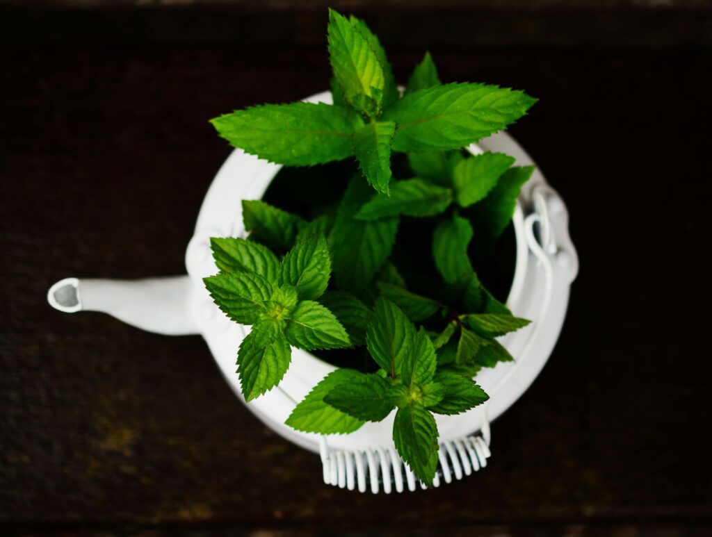 peppermint tea benefits before bed