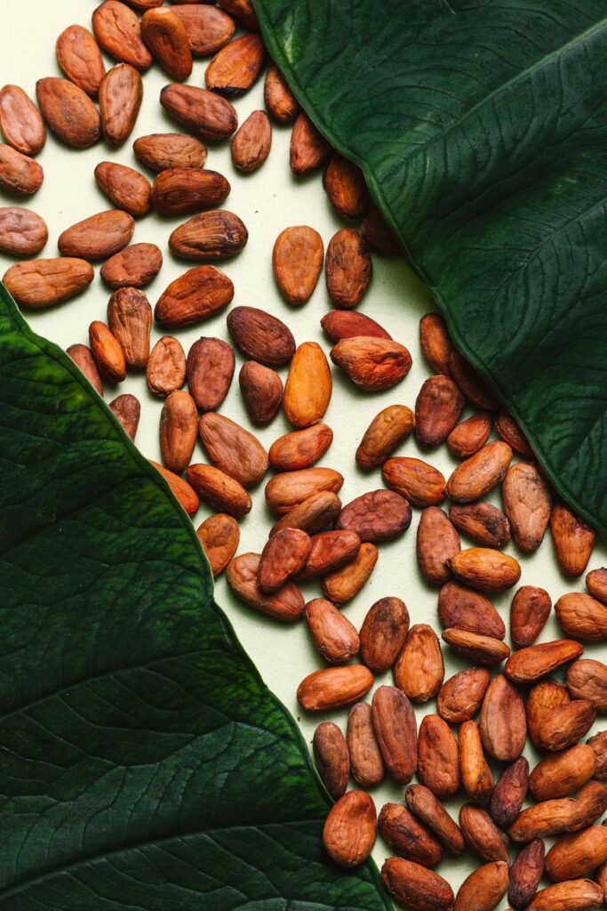 cacao powder benefits for men